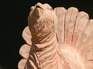 sisto-lombardo-il-canto-del-gallo-cedrone