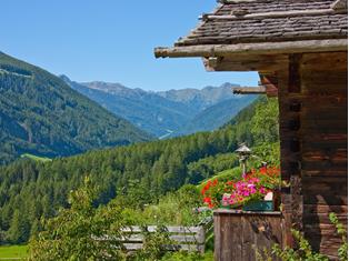 Farm holidays in Ahrntal valley