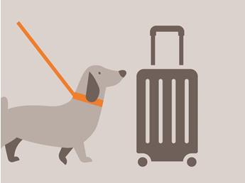 doginfo-illustrationen-zeichenflaeche-1-kopie-16